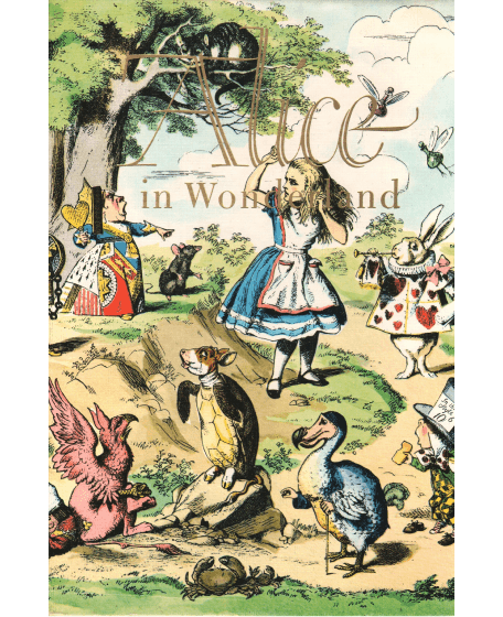 Alice in Wonderland – Paper Book
